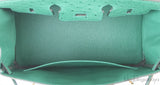 Hermes Birkin 25 Ostrich Vert Vertigo GHW