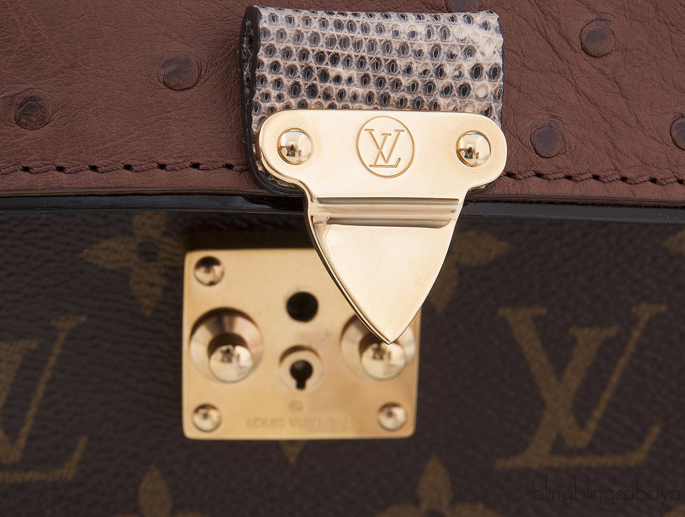 Monogram Majestueux Exotic Bag