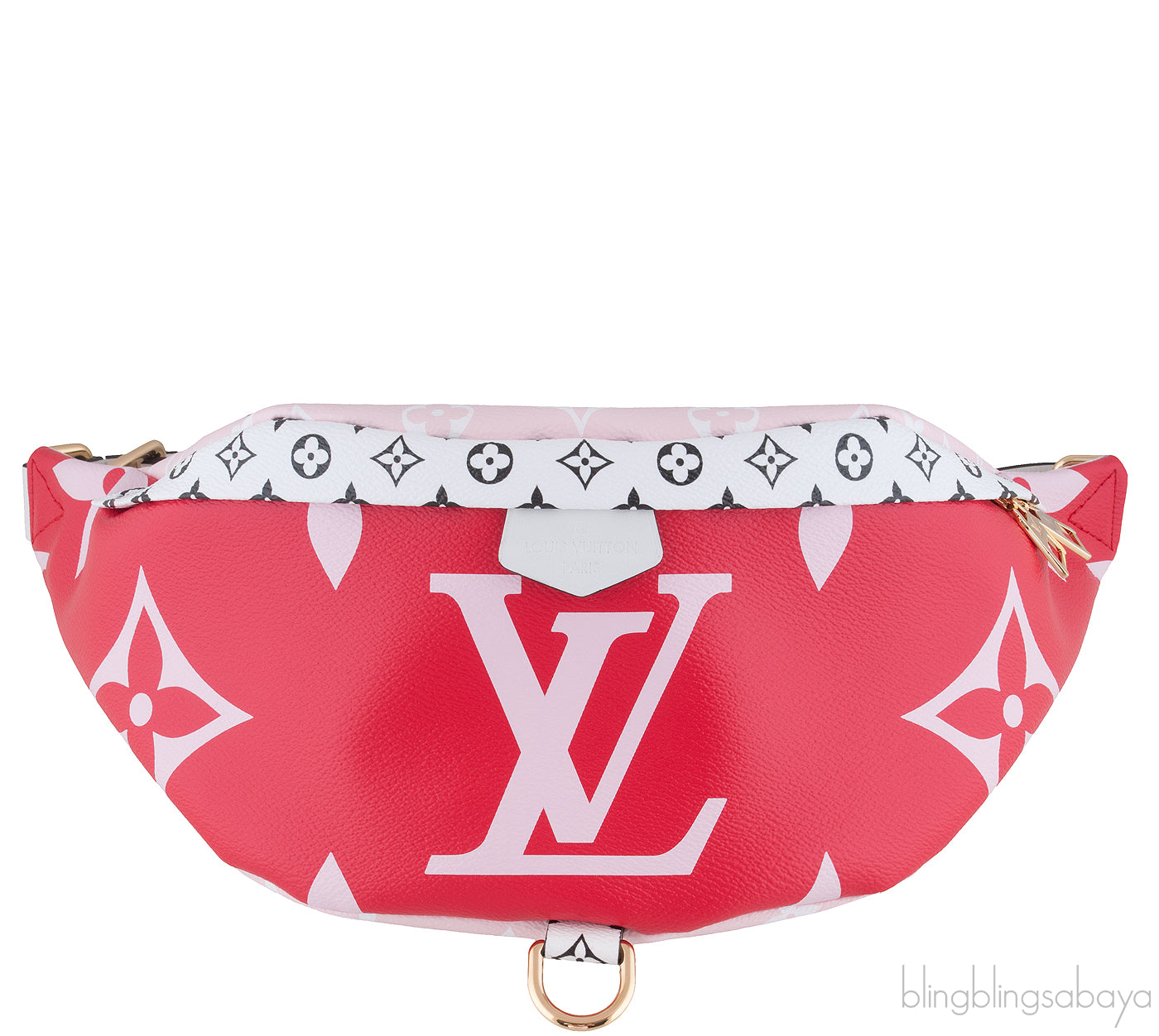 Ltd. Ed. Bumbag MM Monogram Giant