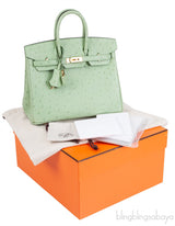 Birkin 25 Vert Criquet Ostrich GHW