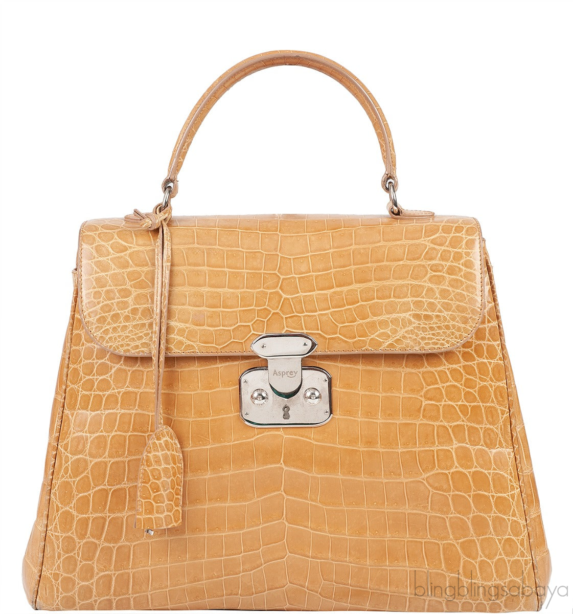 Brown Crocodile Large Handbag