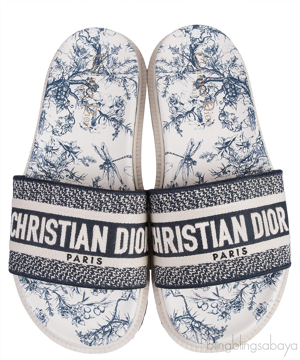 Blue Dway Slide