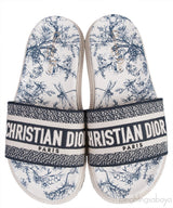 Blue Dway Slide