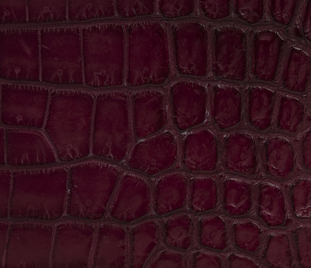 Maxime Bordeaux Crocodile Bag