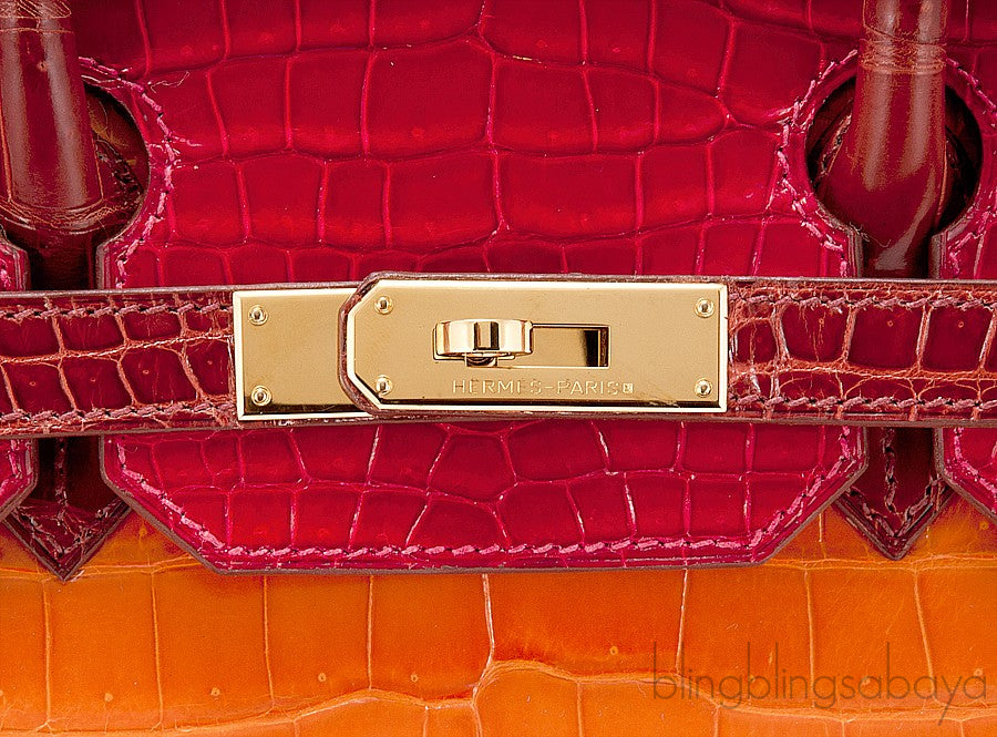 Birkin 35 Tricolor Crocodile Ltd. Ed.