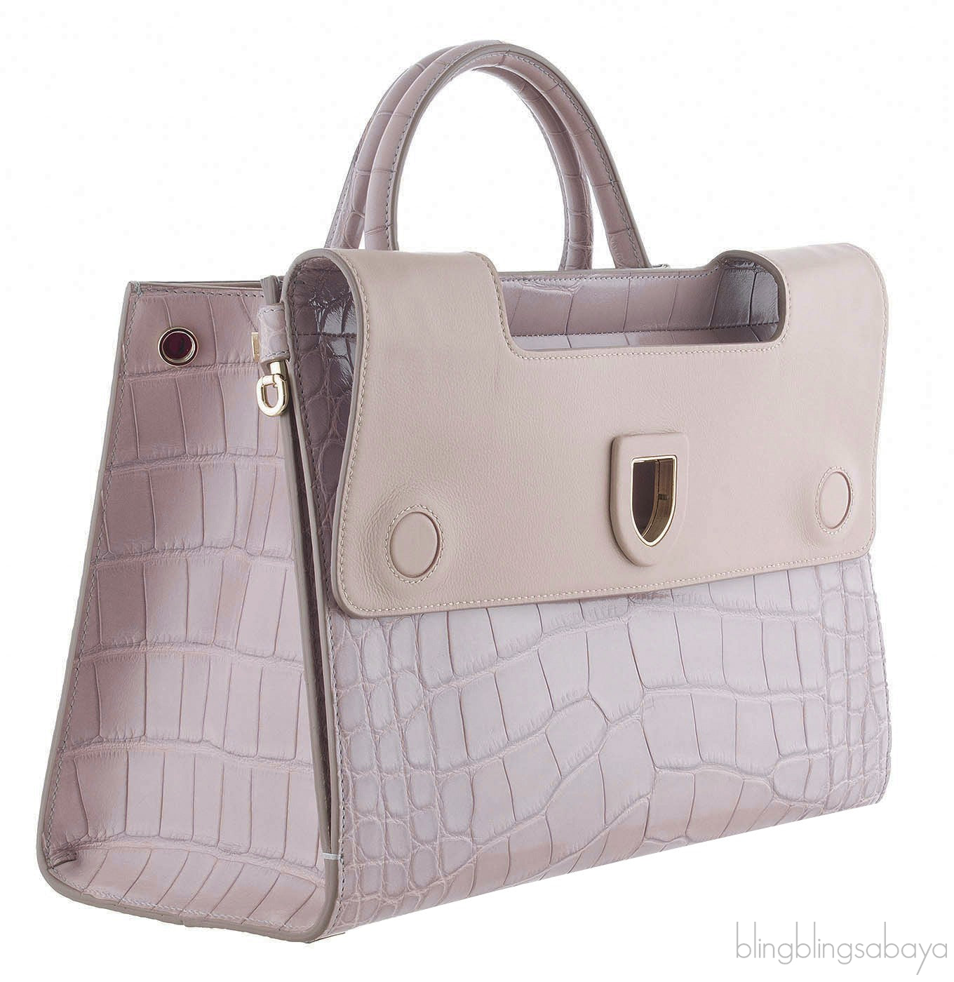 Christian Dior Diorever Crocodile Medium Bag