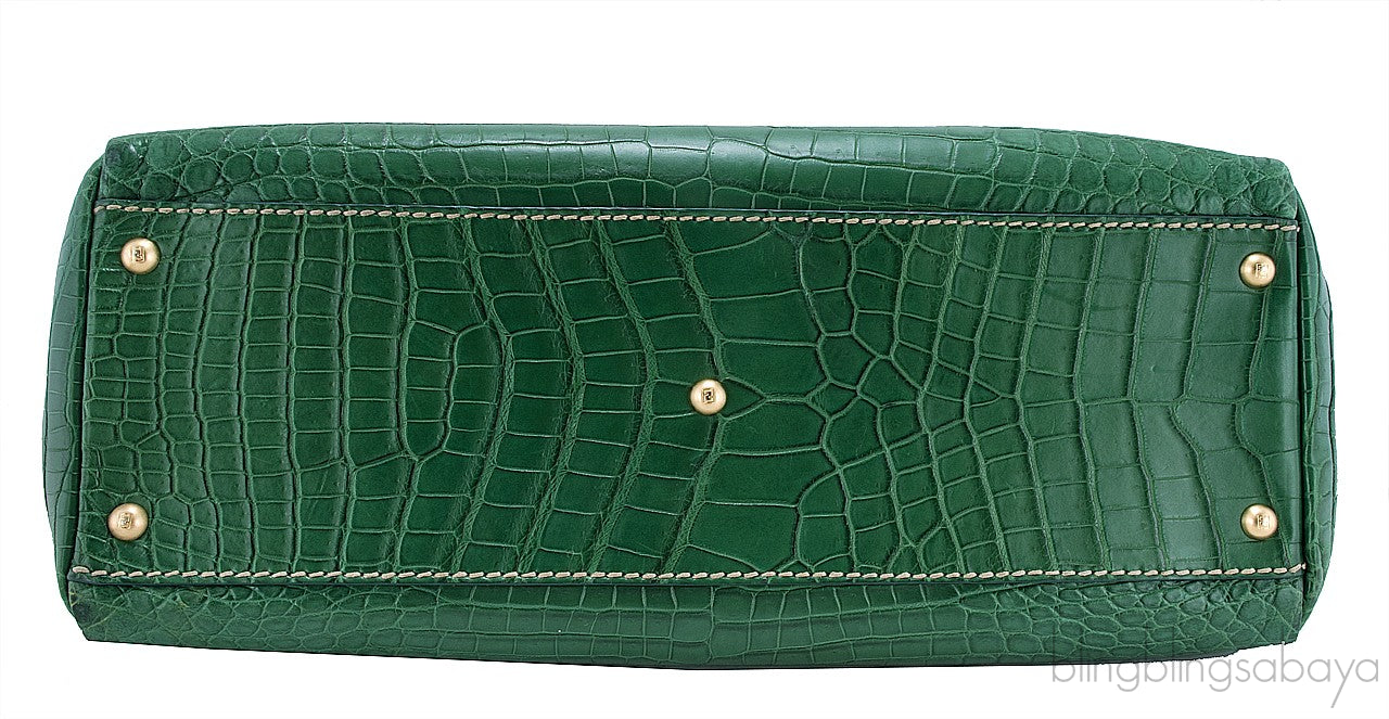 Green Crocodile Peek-a-boo