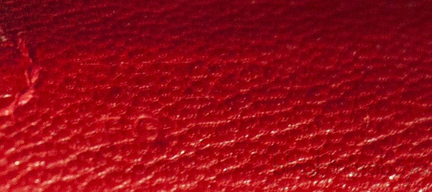 Kelly 25 Red Braise Crocodile GHW
