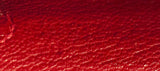 Kelly 25 Red Braise Crocodile GHW