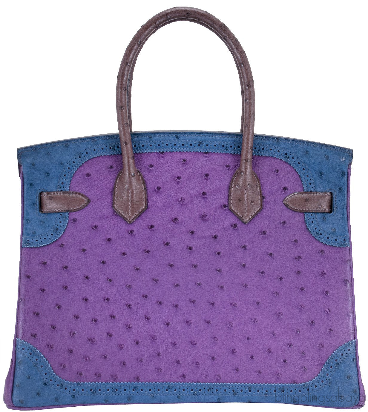 Birkin 30 Tri-color Ghillies Ostrich