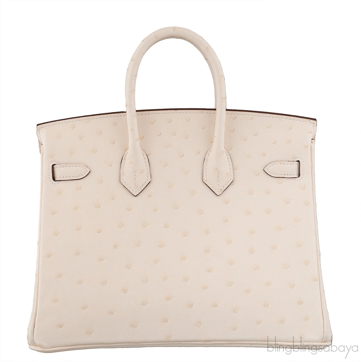 Birkin 25 Boreal Nata Ostrich GHW