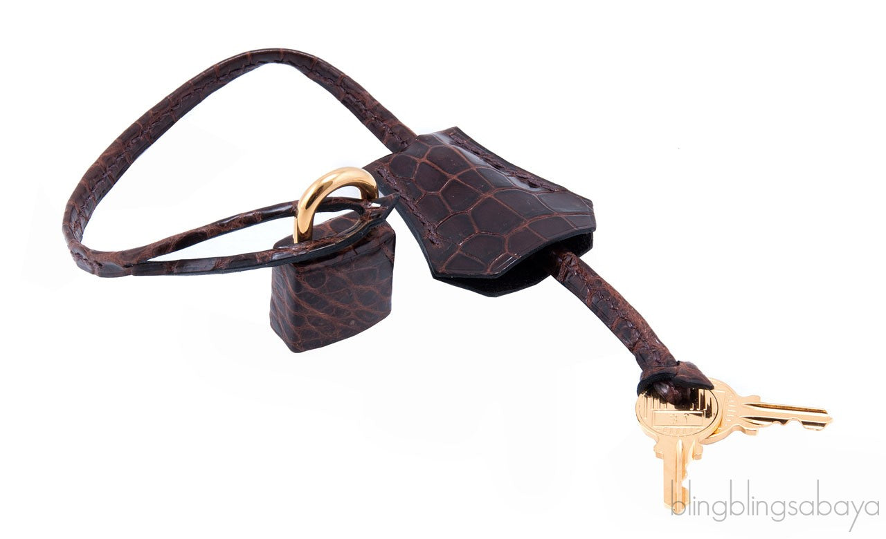 Birkin 35 Havanne Shiny Croco
