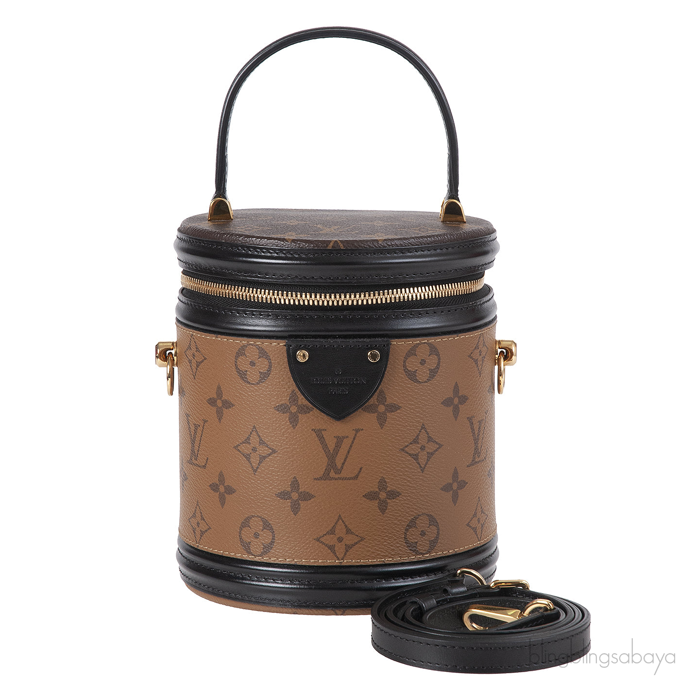 Louis Vuitton Cannes Monogram Bag