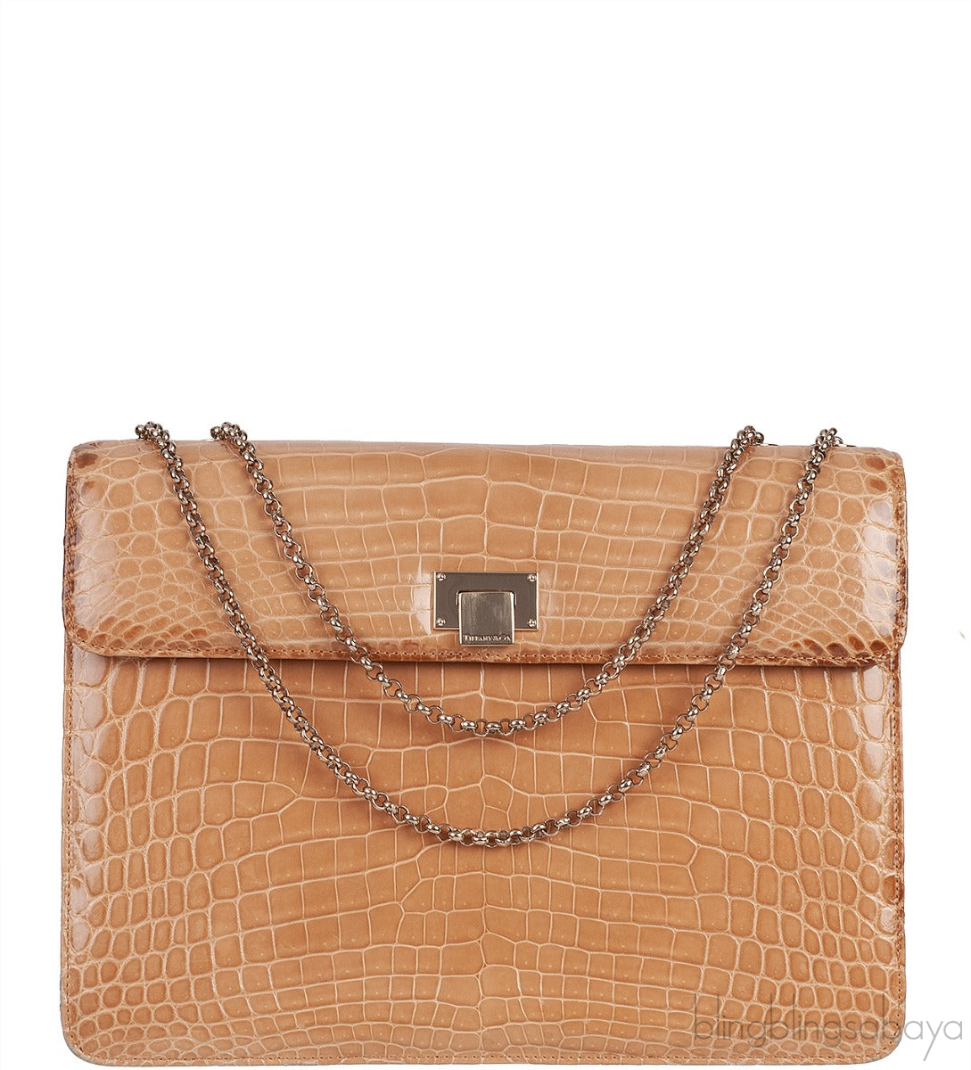 Beige Cornelia Lunch Box Crocodile Bag