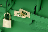 Birkin 25 Bambou Swift GHW