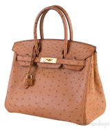 Birkin 30 Ostrich Cognac GHW