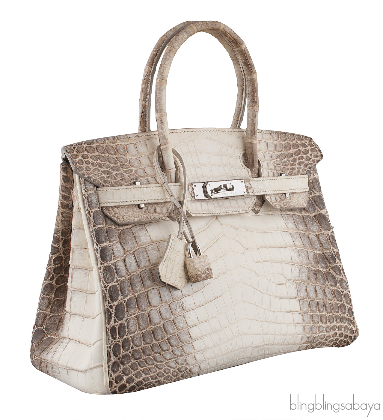 Birkin 30 Himalayan Crocodile PHW
