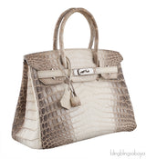 Birkin 30 Himalayan Crocodile PHW