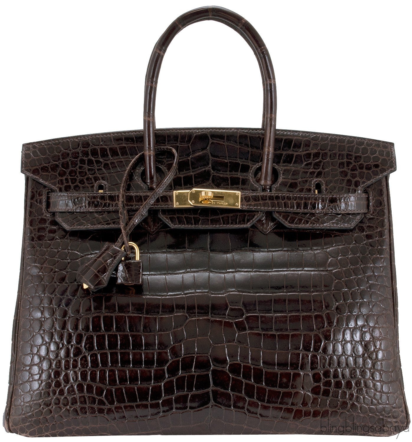 Birkin 35 Brown Patent Porosus GHW