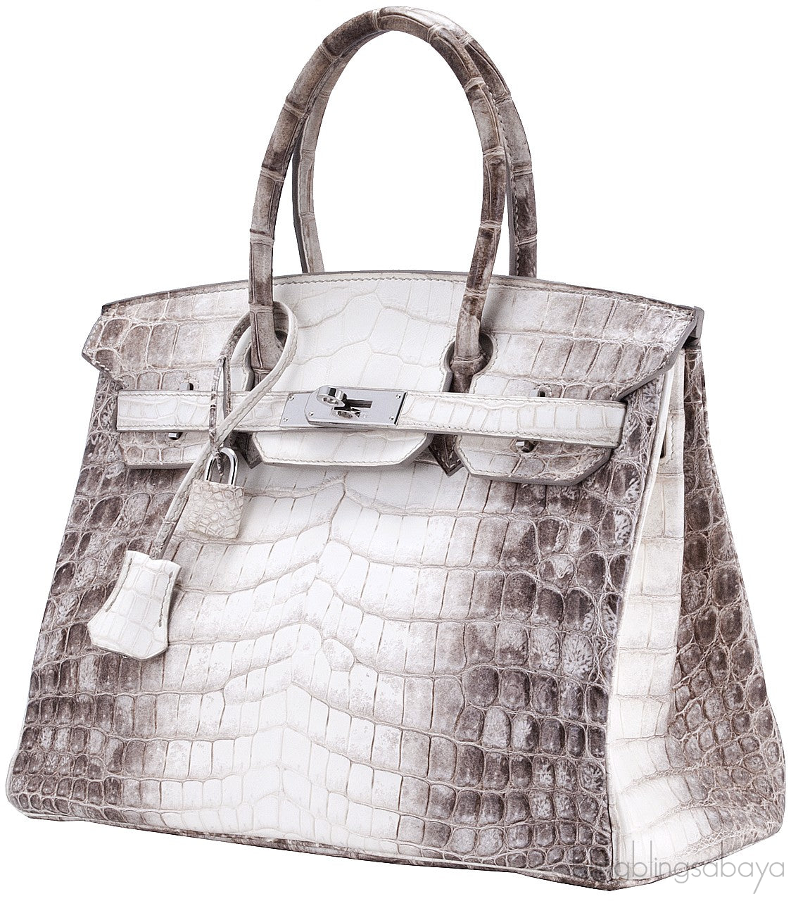 Birkin 30 Himalaya Matte Niloticus
