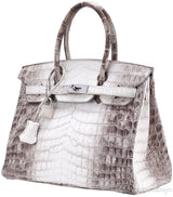 Birkin 30 Himalaya Matte Niloticus