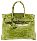 Birkin 30 Vert Pelouse Porosus