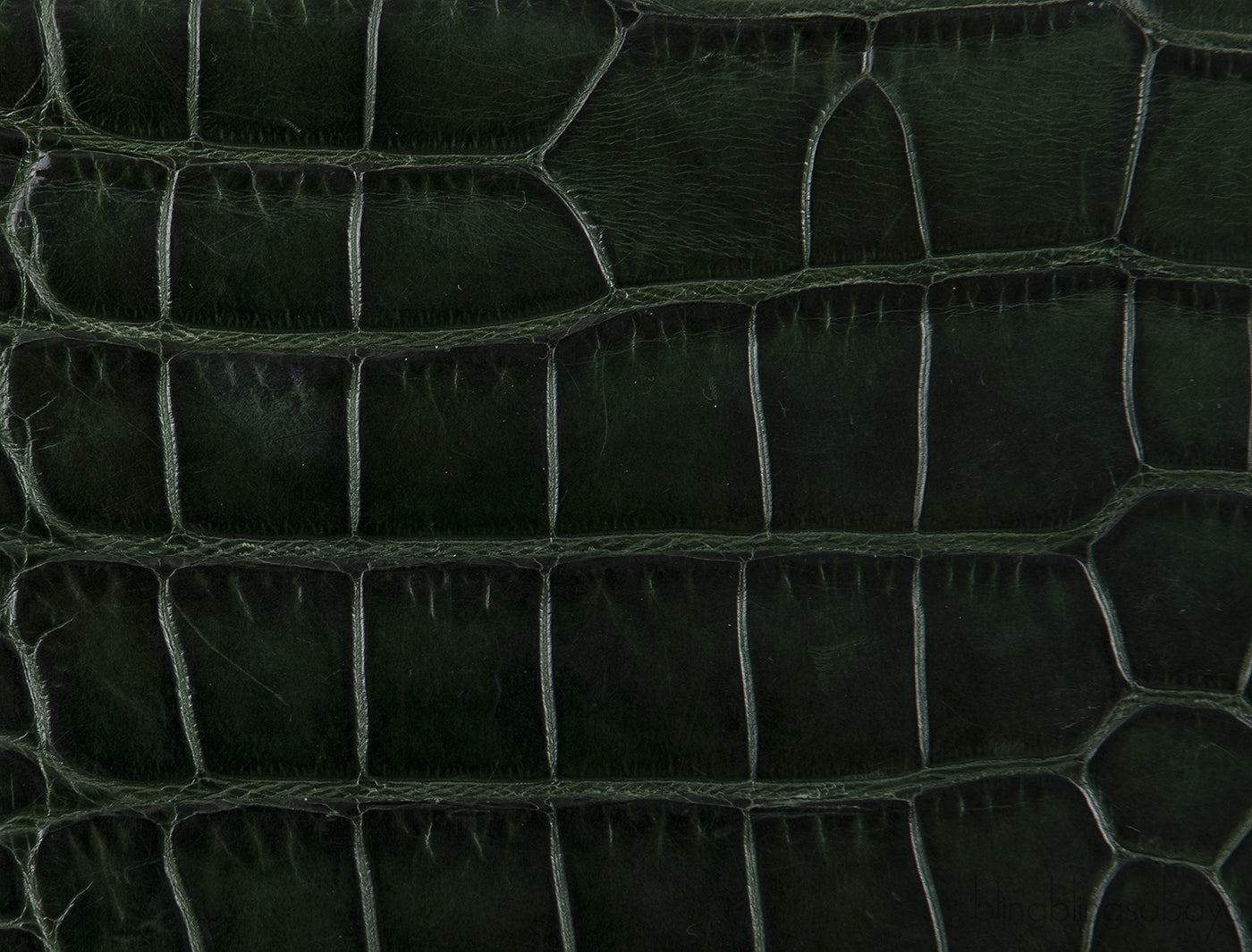 Crystal Embellished Horsebit Green Crocodile Mini Clutch