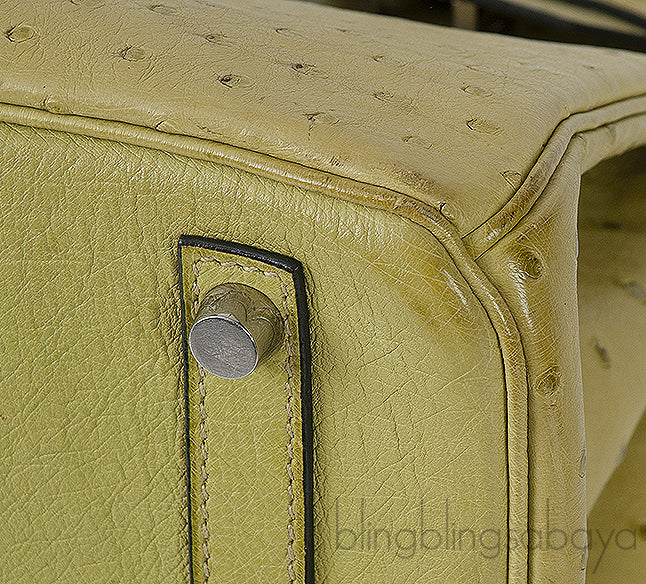 Birkin 30 Vert Anis Ostrich PHW