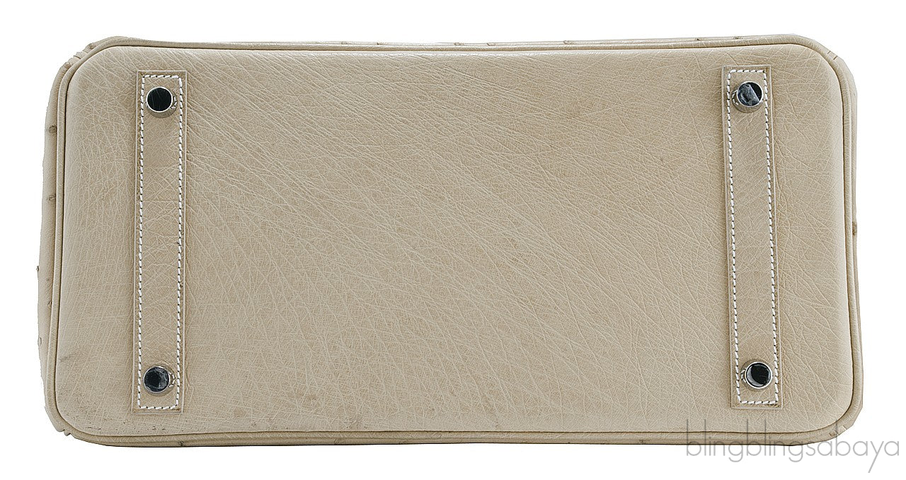 Birkin 30 Parchemin Ostrich