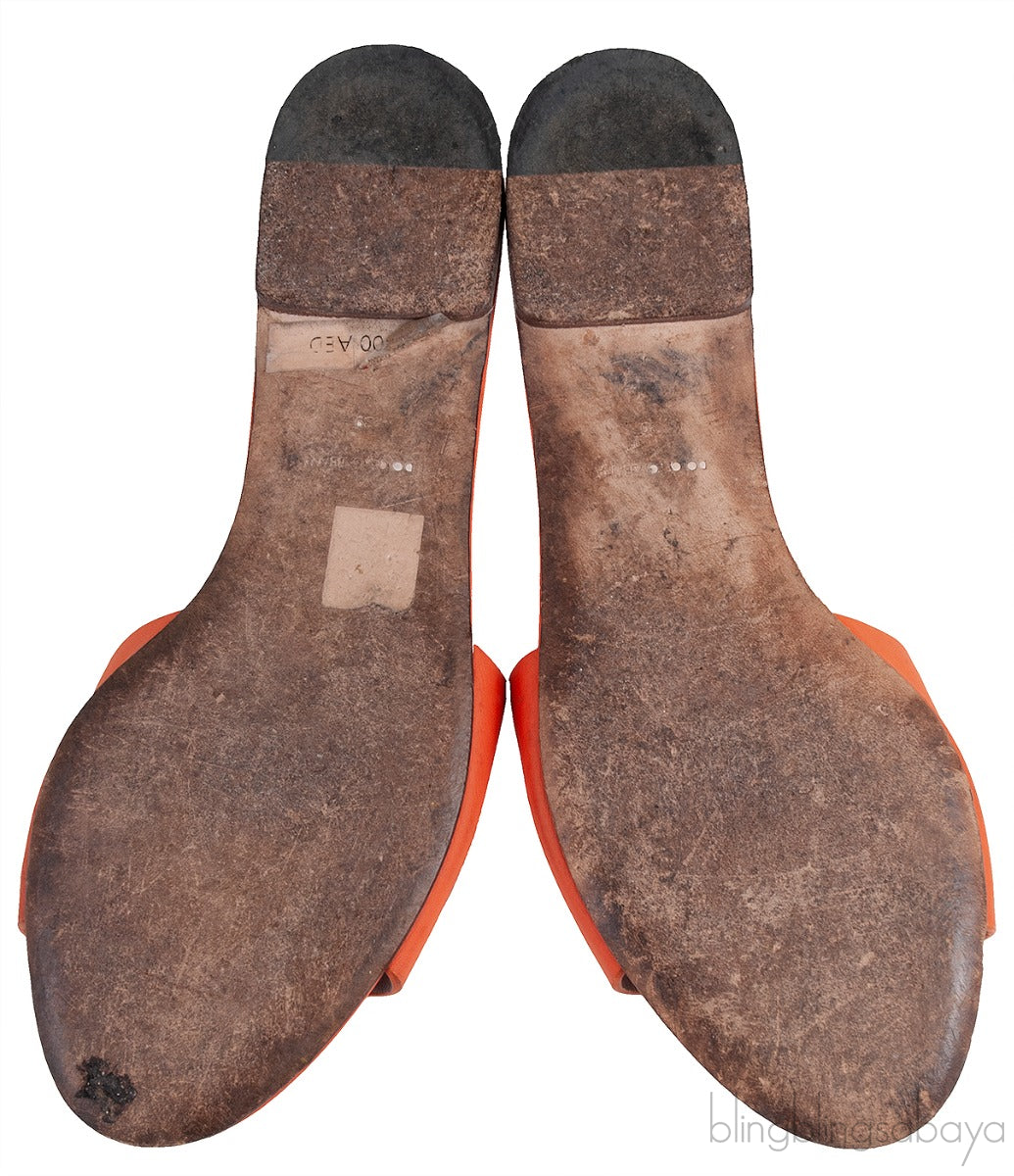 Orange DG Slide
