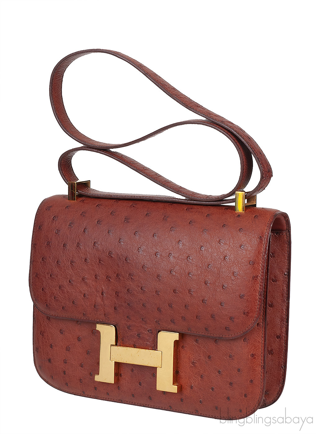 Hermes Vintage Constance 23 Brown Ostrich GHW