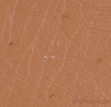 Birkin 30 Ostrich Cognac GHW