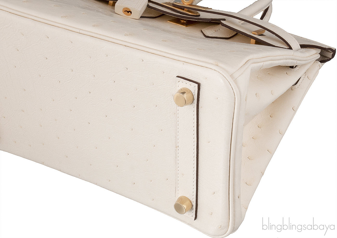 Birkin 25 Boreal Nata Ostrich GHW