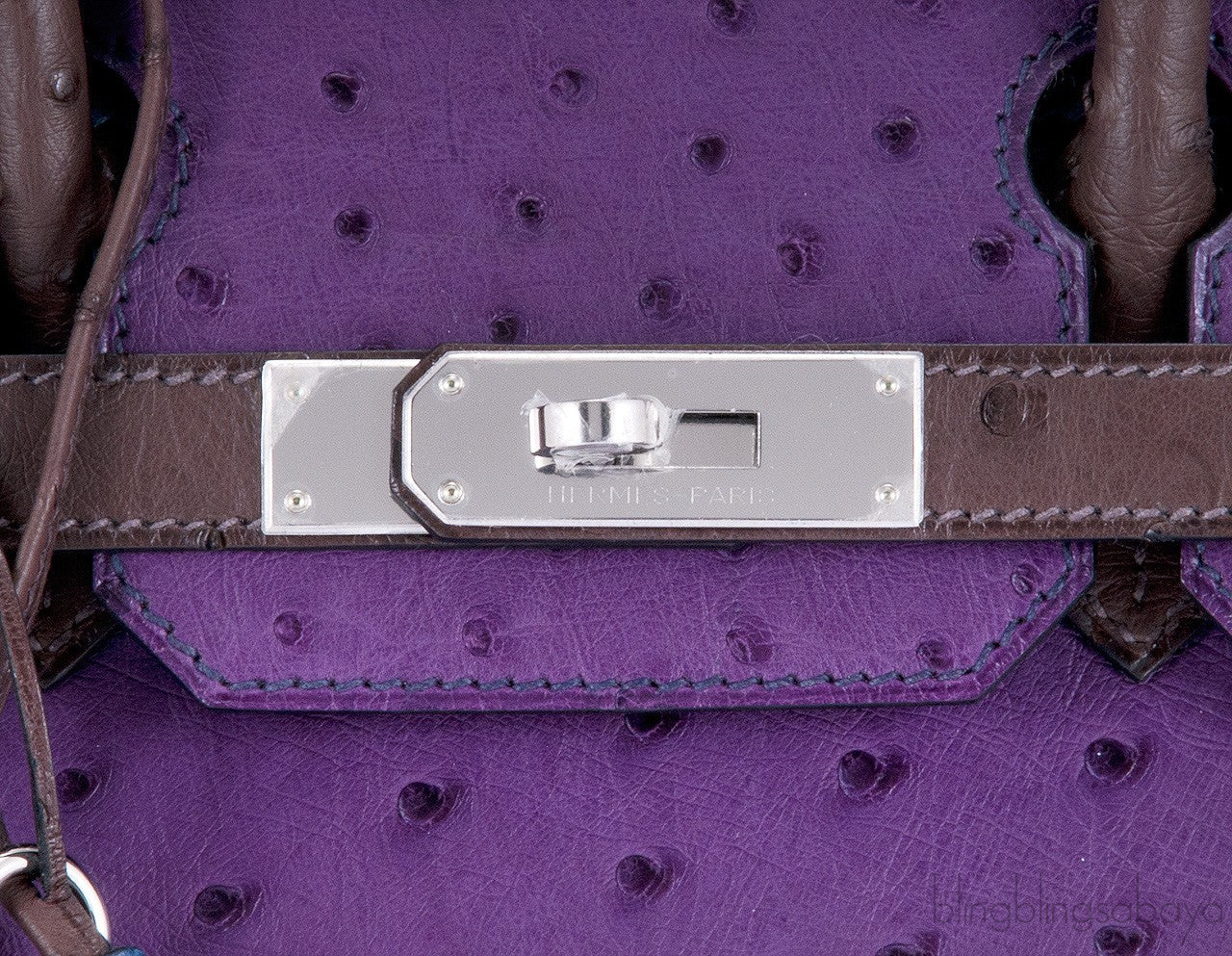 Birkin 30 Tri-color Ghillies Ostrich