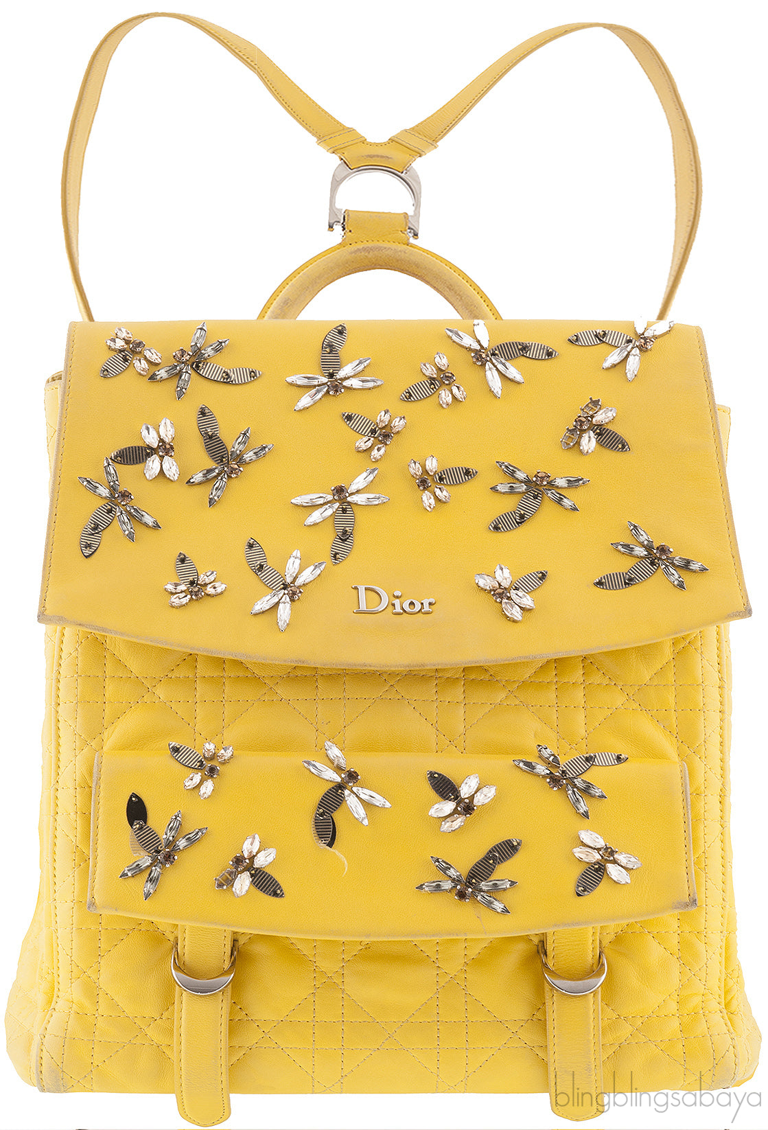 Dior Embroidered Stardust Backpack