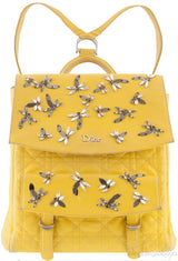 Dior Embroidered Stardust Backpack