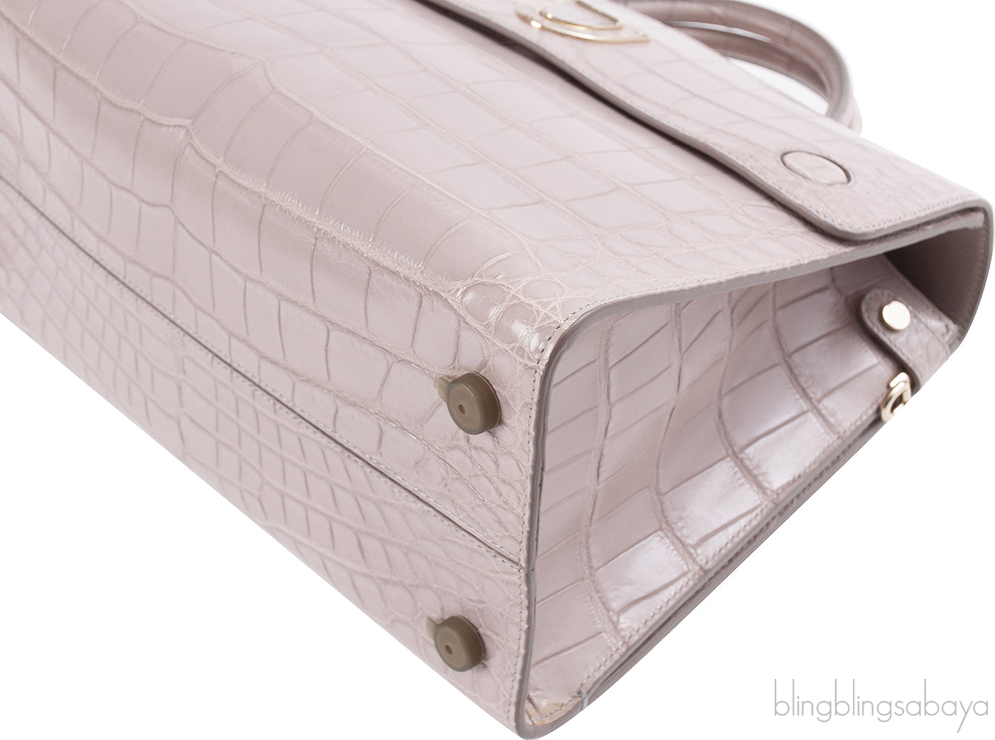 Christian Dior Diorever Crocodile Medium Bag