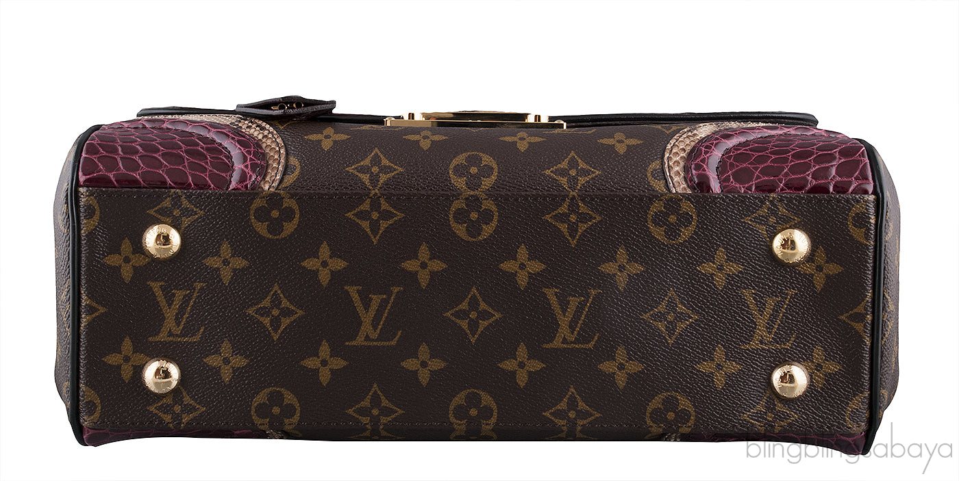 Burgundy Grand Marriage Monogramissime Bag