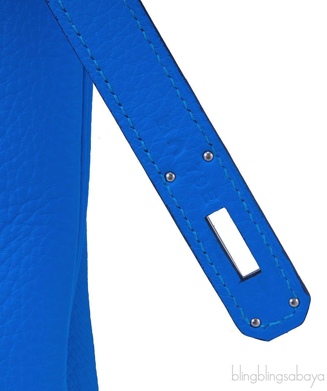 Birkin 35 Blue Hydra Clem