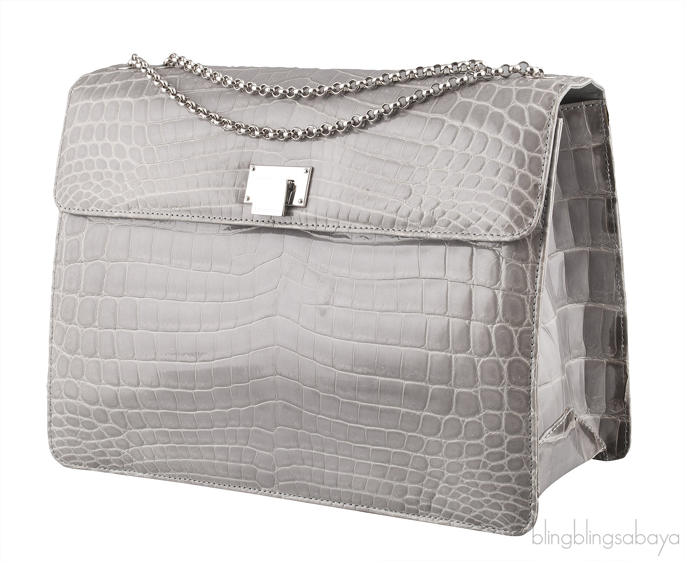 Grey Cornelia Lunch Box Crocodile Bag