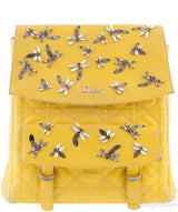 Dior Embroidered Stardust Backpack