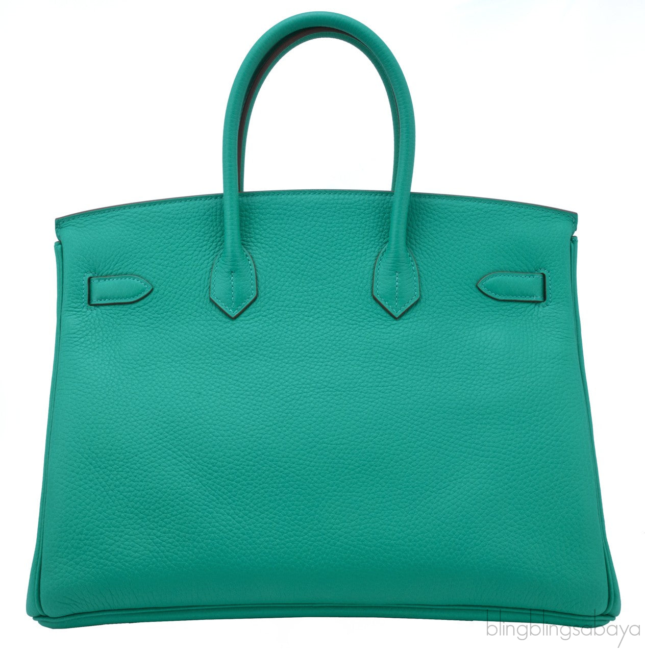 Birkin 35 Mint Taurillon Clem