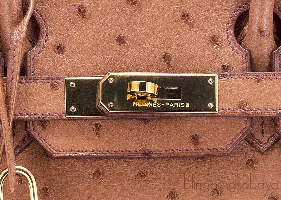 Birkin 30 Cognac Ostrich GHW