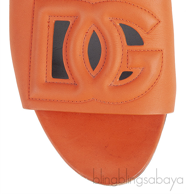 Orange DG Slide