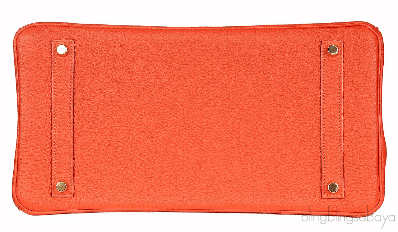 Birkin 35 Capucine Togo GHW