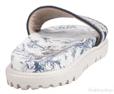 Blue Dway Slide