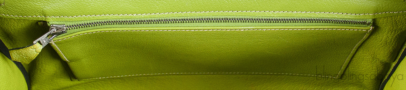 Birkin 30 Vert Anis Ostrich PHW