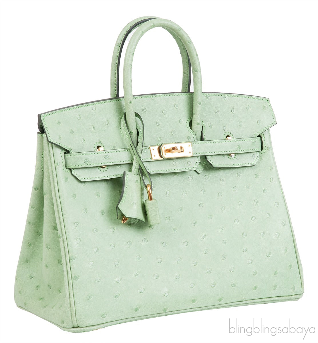 Birkin 25 Vert Criquet Ostrich GHW