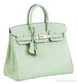 Birkin 25 Vert Criquet Ostrich GHW