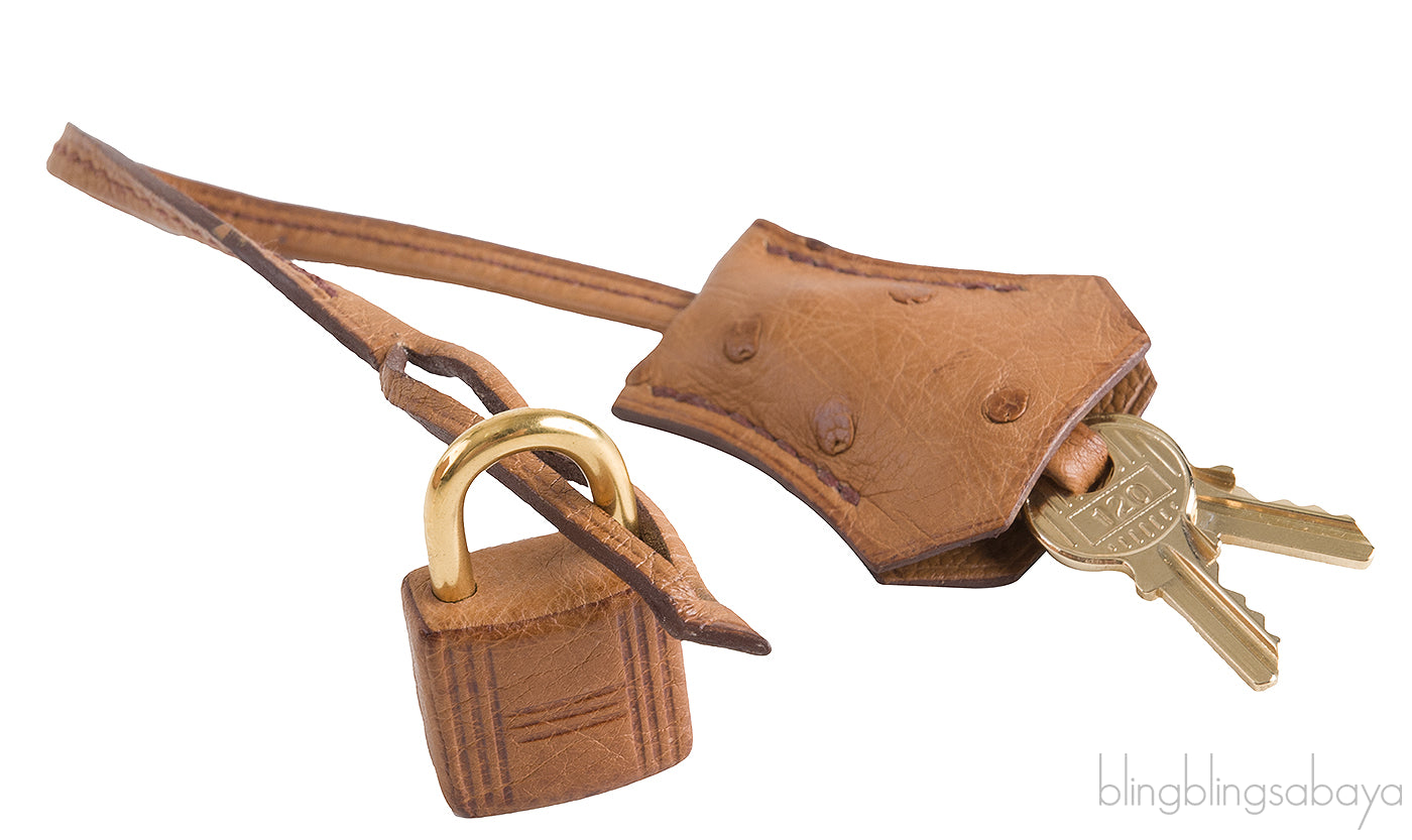 Birkin 30 Ostrich Cognac GHW
